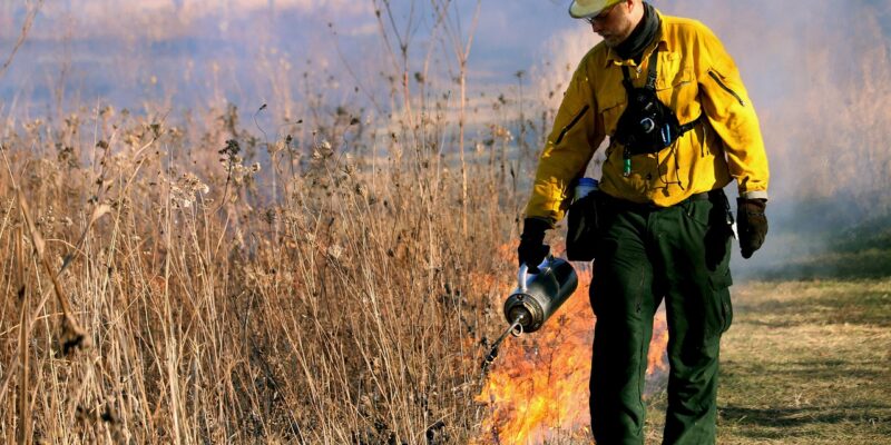 How Fire Alarm Systems are Beneficial during Wildfires?