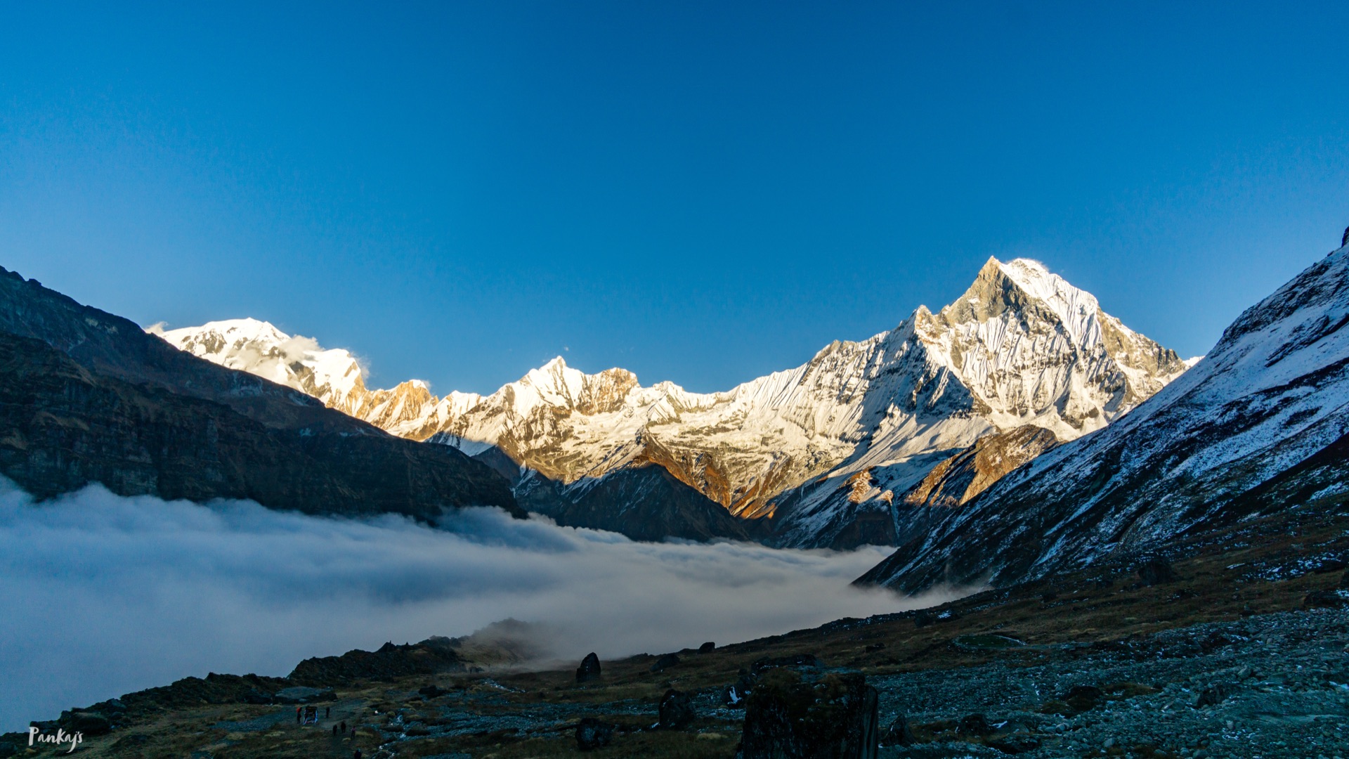 Trishul Adventures founders on a Himalayan trek