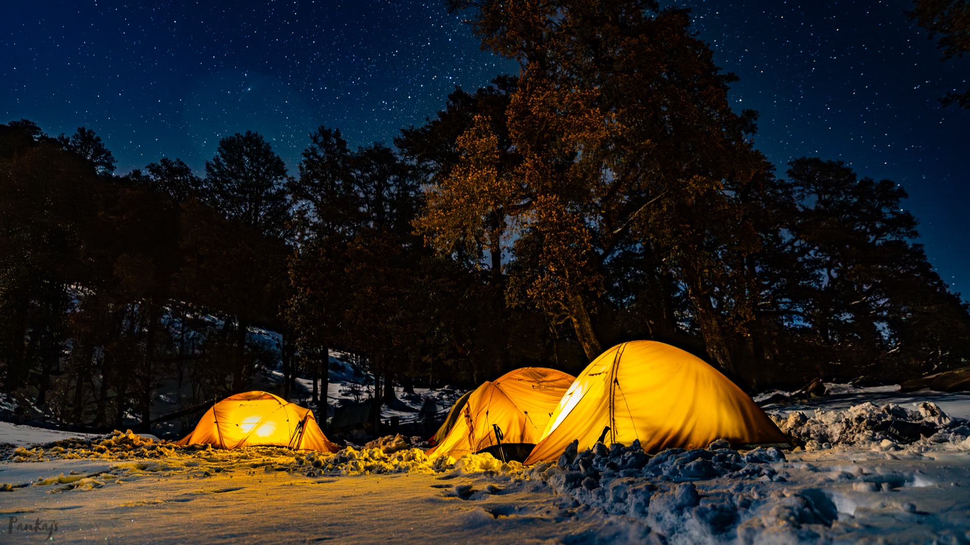 The Trishul Adventures team on a Himalayan trek